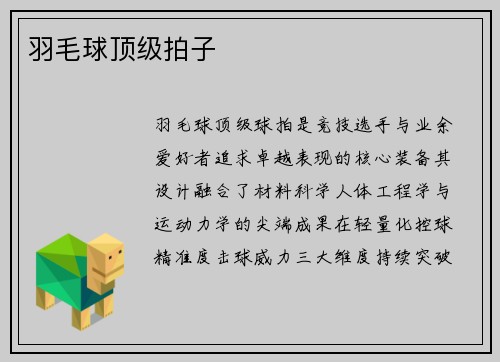 羽毛球顶级拍子